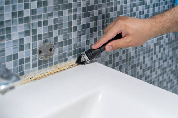 Best Professional Mold Removal  in Rm Beach, WA